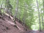dsc00762.jpg