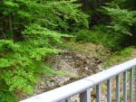 dsc00763.jpg
