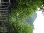 dsc00764.jpg