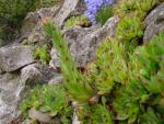 dsc00766.jpg