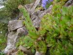 dsc00767.jpg