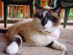dsc00776.jpg