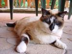 dsc00777.jpg