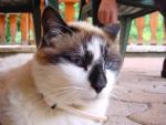dsc00778.jpg