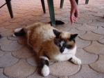 dsc00779.jpg