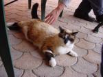 dsc00780.jpg