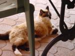 dsc00787.jpg