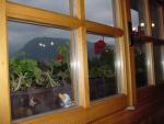 dsc00805.jpg