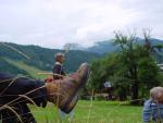 dsc00872.jpg