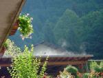dsc00911.jpg