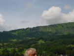 dsc00939.jpg