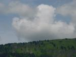 dsc00942.jpg