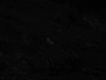 dsc00971.jpg