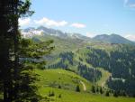 dsc01009.jpg