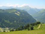 dsc01010.jpg