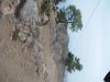 dsc07007.jpg