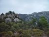 dsc07017.jpg