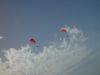 dsc07067.jpg
