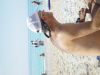 dsc07078.jpg