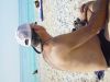 dsc07079.jpg