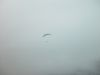 dsc07126.jpg