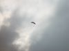dsc07132.jpg