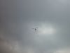 dsc07133.jpg