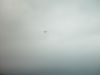dsc07147.jpg