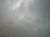 dsc07148.jpg