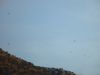 dsc07173.jpg