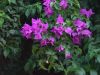 dsc07182.jpg
