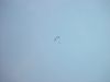 dsc07183.jpg