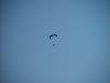 dsc07206.jpg