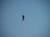 dsc07209.jpg