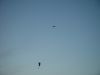 dsc07212.jpg