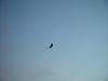 dsc07213.jpg