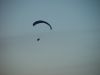 dsc07215.jpg