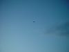 dsc07224.jpg