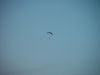 dsc07225.jpg