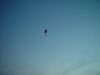 dsc07226.jpg