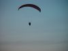 dsc07236.jpg