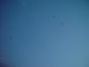 dsc07247.jpg