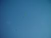 dsc07248.jpg