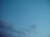 dsc07249.jpg