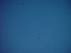 dsc07250.jpg