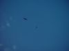 dsc07251.jpg