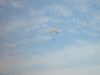 dsc07483.jpg