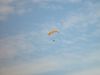 dsc07484.jpg