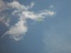 dsc07497.jpg