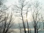 dsc01005.jpg